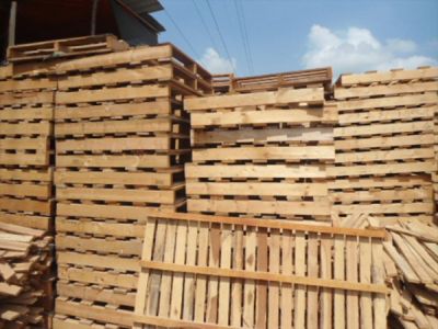 Những Loại Gỗ Thường Được Dùng Làm Pallet Tại Việt Nam