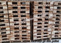 Các loại gỗ làm pallet