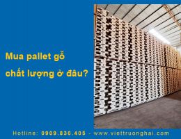 Mua pallet gỗ chất lượng ở đâu?