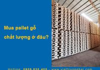 Mua pallet gỗ chất lượng ở đâu?