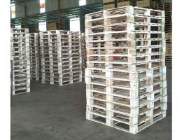 Việt Trường Hải - Pallet gỗ giá rẻ