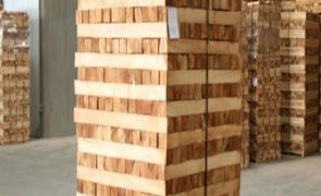 Hình ảnh Việt Trường Hải