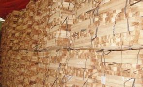 Hình ảnh Việt Trường Hải