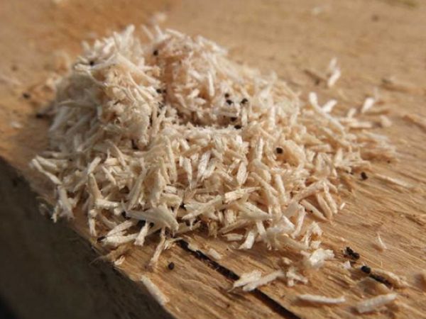 Những Vấn Đề Thường Gặp Trong Sử Dụng Pallet Gỗ Và Cách Xử Lý