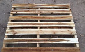 Hình ảnh Việt Trường Hải