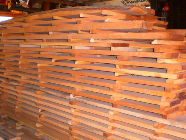 Cách Xử Lý Gỗ Chống Mối Mọt Hiệu Quả Nhất