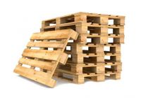 Có nên sử dụng pallet gỗ trong kho lạnh?