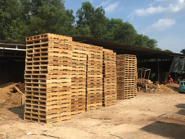 Có nên dùng pallet gỗ thông ở Việt Nam?