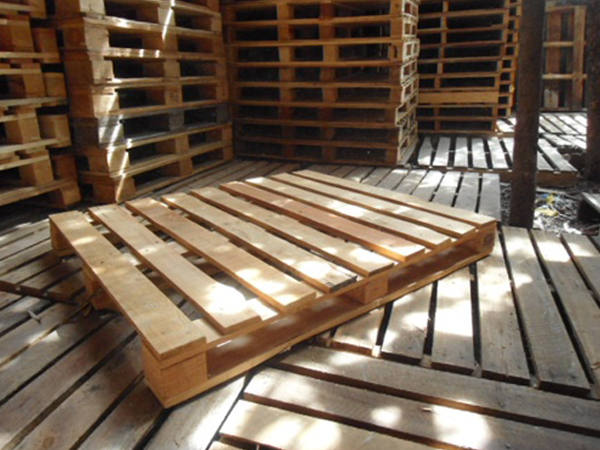 Bí Quyết Chọn Và Sử Dụng Pallet Gỗ Tốt