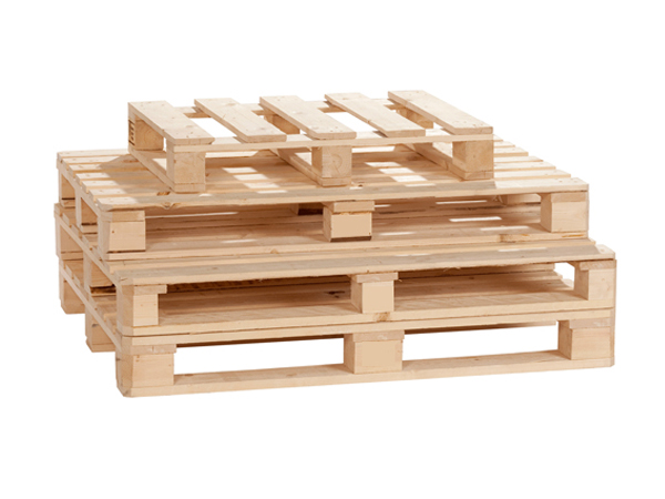 Cách Bảo Vệ Pallet Gỗ Không Bị Mối Mọt Tấn Công