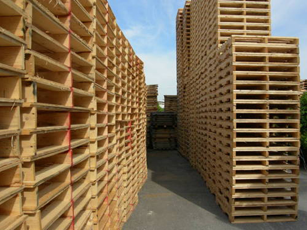 Lựa Chọn Pallet Gỗ Tốt Đúng Cách
