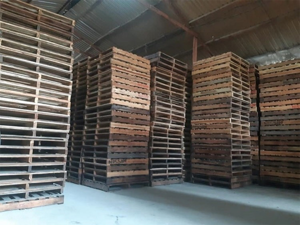 Sự Phổ Biến Của Pallet Gỗ Keo Tại Miền Bắc Việt Nam