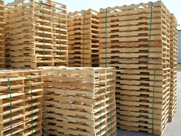 Tại sao nên khử trùng pallet gỗ